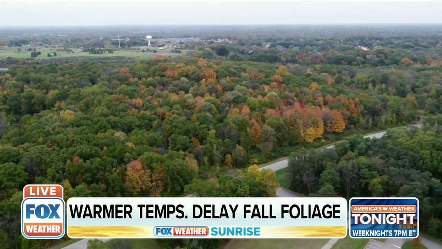 Warmer temperatures delay fall foilage in Michigan