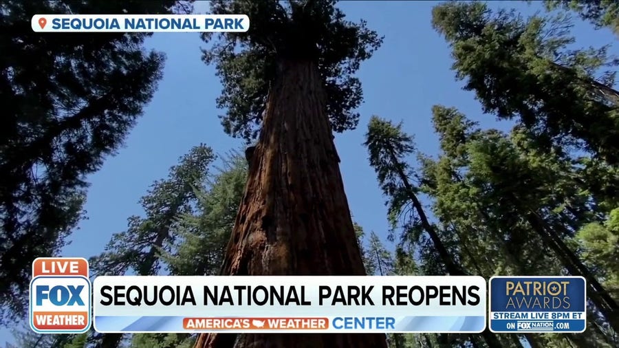 Parts of Sequoia National Park reopen 