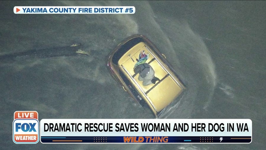 Dramatic rescue by firefighters saves woman, dog from Washington river