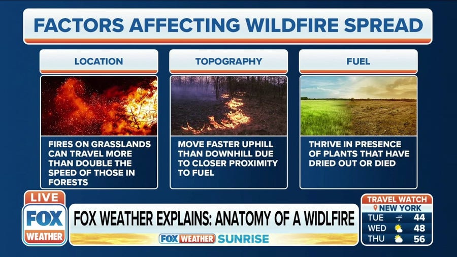 FOX Weather explains: Anatomy of wildfires