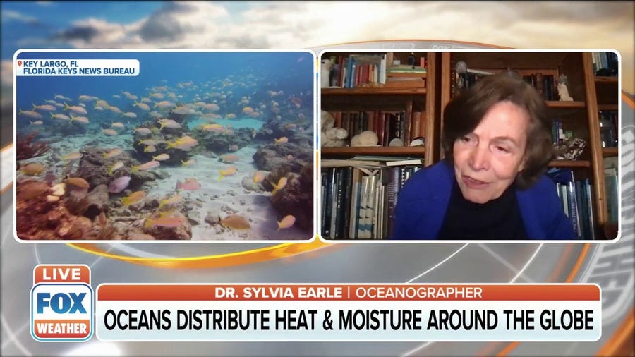 Oceans distribute heat and moisture around the world