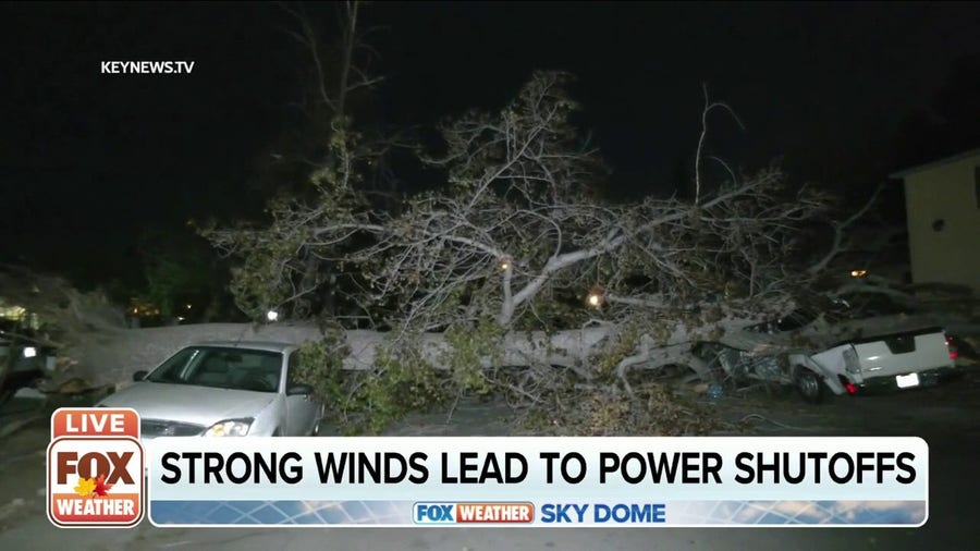 Strong winds lead to power shutoffs in California 