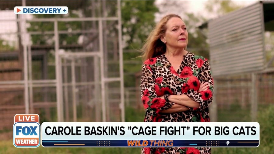 Carole Baskin gives a preview of her new show 'Cage Fight'
