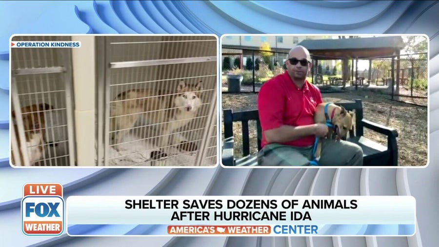 Texas animal shelter saved dozens of pets after Hurricane Ida