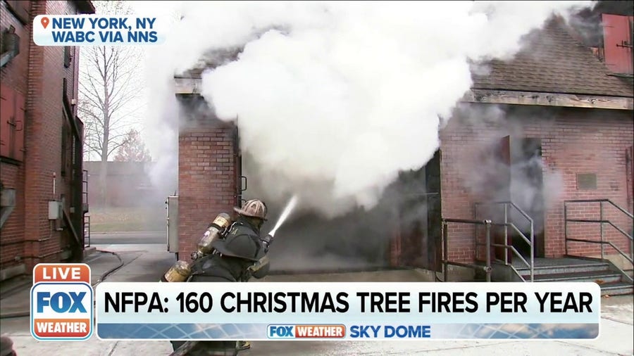 Preventing Christmas tree fires this holiday season