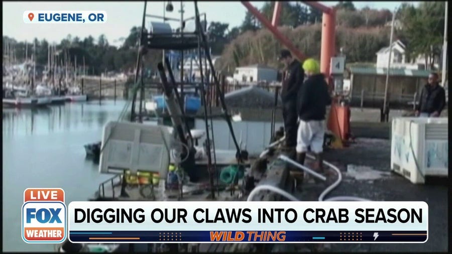 Digging our Claws into Crab Season