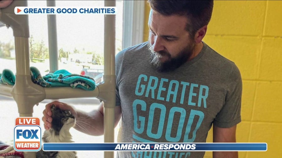 Greater Good Charities helps rescue pets displaced by tornadoes, storms  