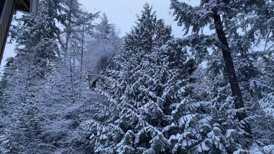 Snow falls in Seattle on Sunday morning