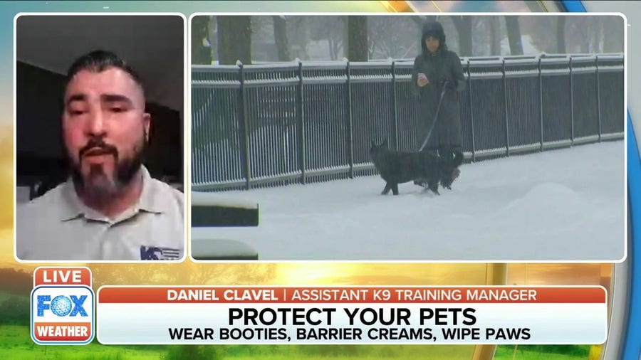 How to protect your pets during winter weather