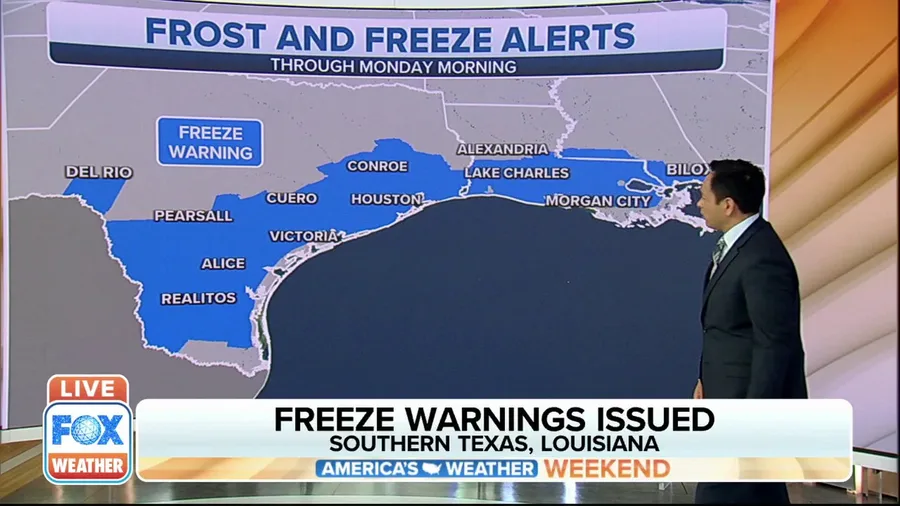 Freeze warnings issued along the Gulf Coast 