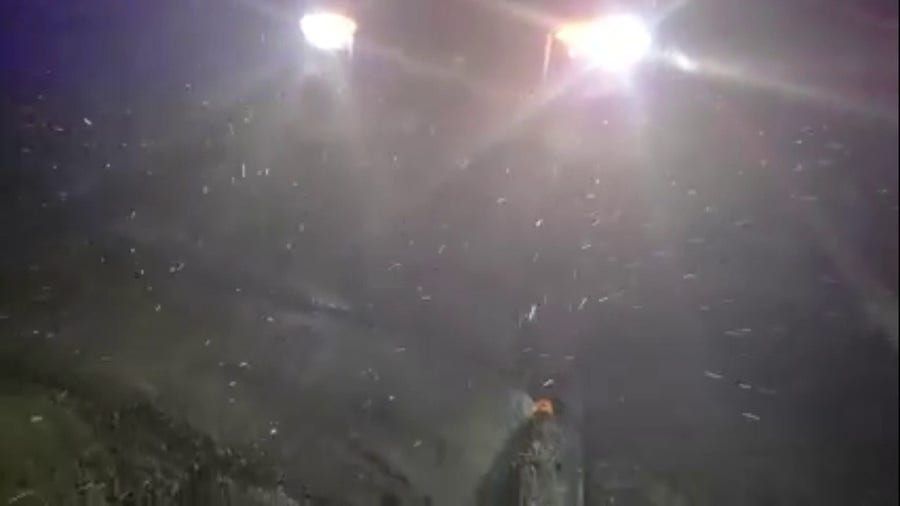 Snow falling in Walton County, Florida