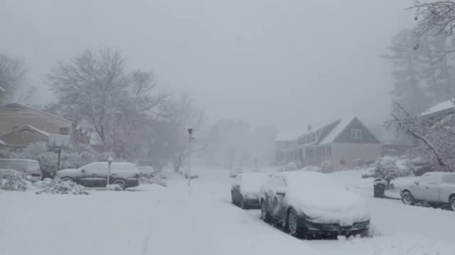 Winter storm dumps heavy snow on Annandale, Virginia 