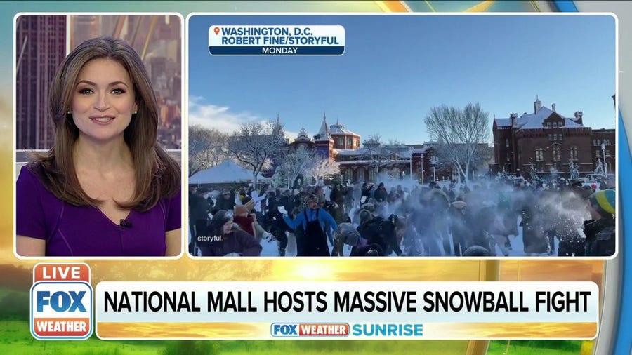 National Mall in D.C. hosts massive snowball fight 