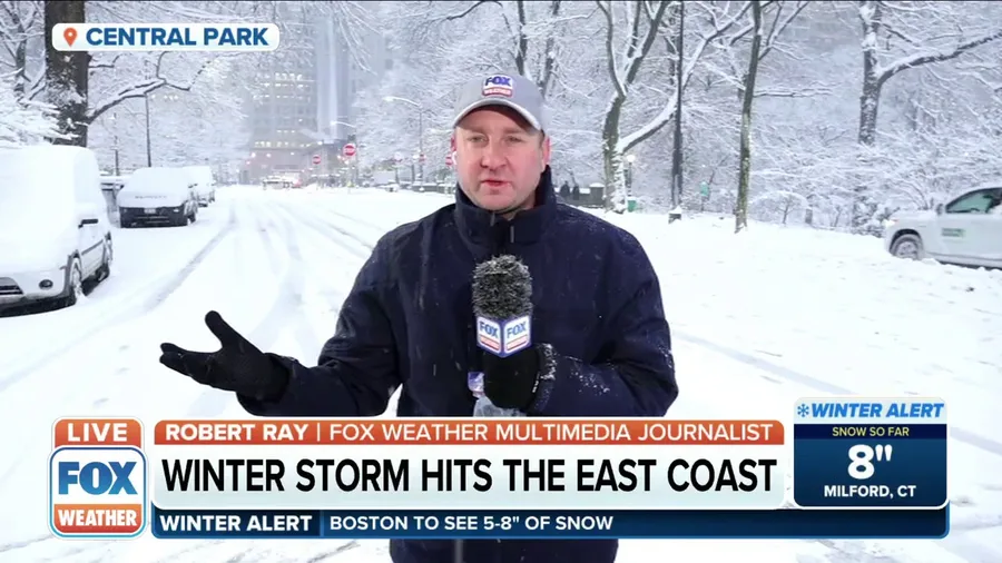 Central Park looks like winter wonderland during winter storm