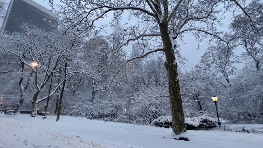 Watch: Nearly a half-foot of snow falls in Central Park 
