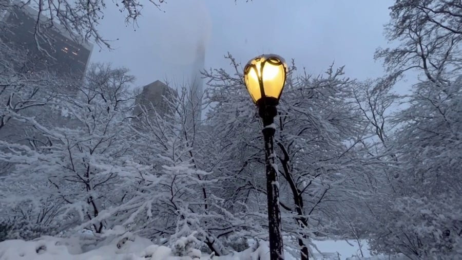 Snow piling up in Central Park 
