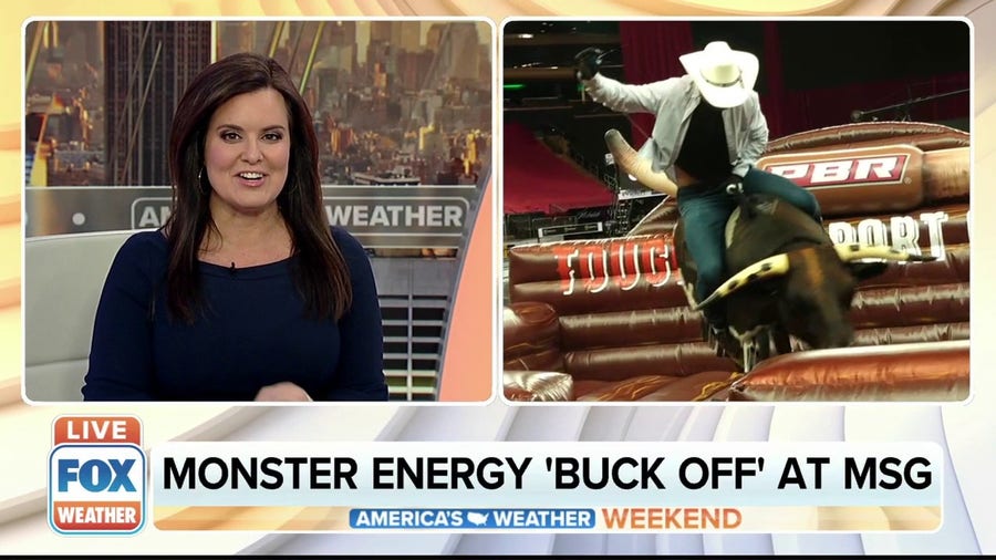 Unleash the beast: World's best bull riders compete in New York