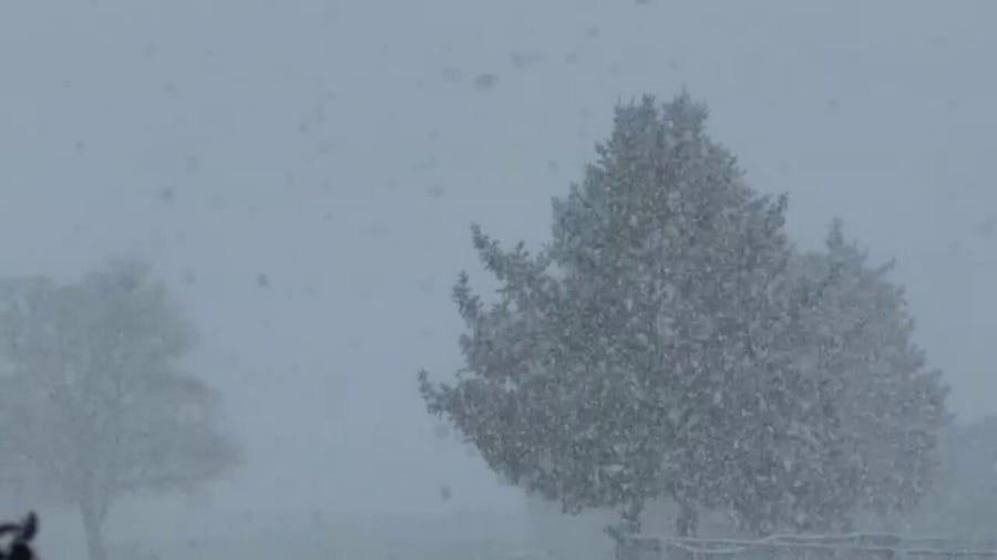 Watch: Intense shower of snow falls on Boise, Idaho