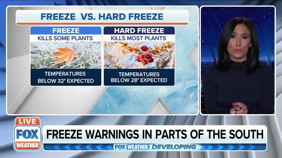 What is a freeze vs. a hard freeze?