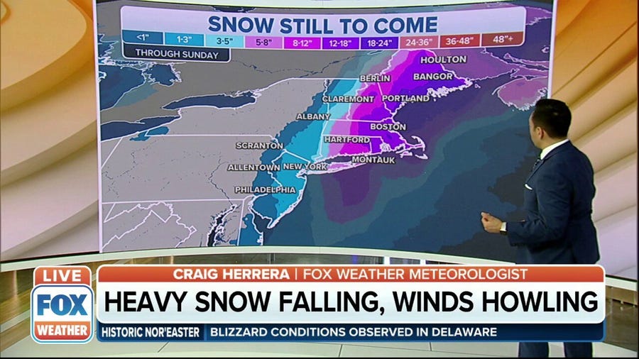 Powerful nor'easter bringing heavy snow, howling winds to East Coast