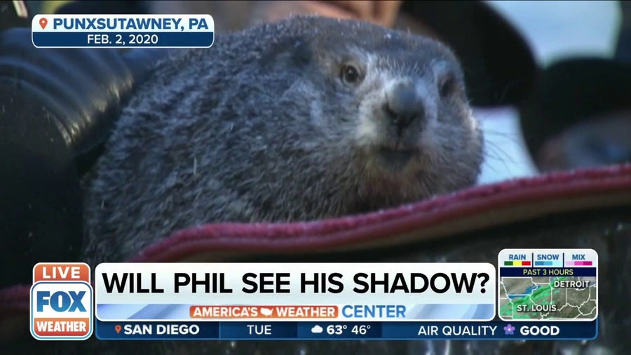 Will Punxsutawney Phil see his shadow Wednesday?