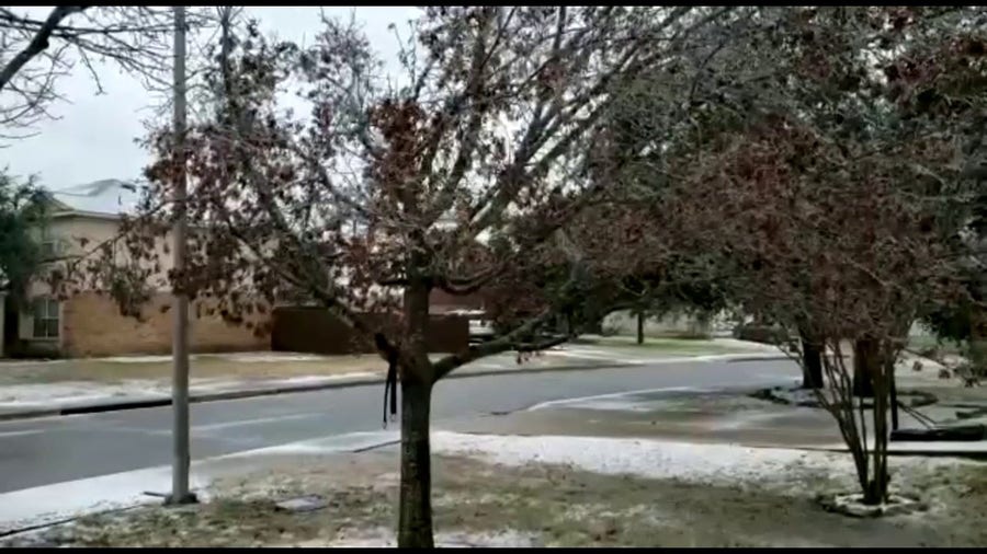 Ice-covered trees rustle in Texas