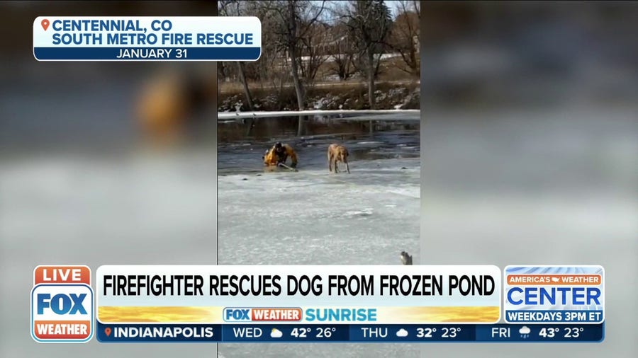 Firefighter gives account of rescuing golden retriever from frozen pond in Colorado