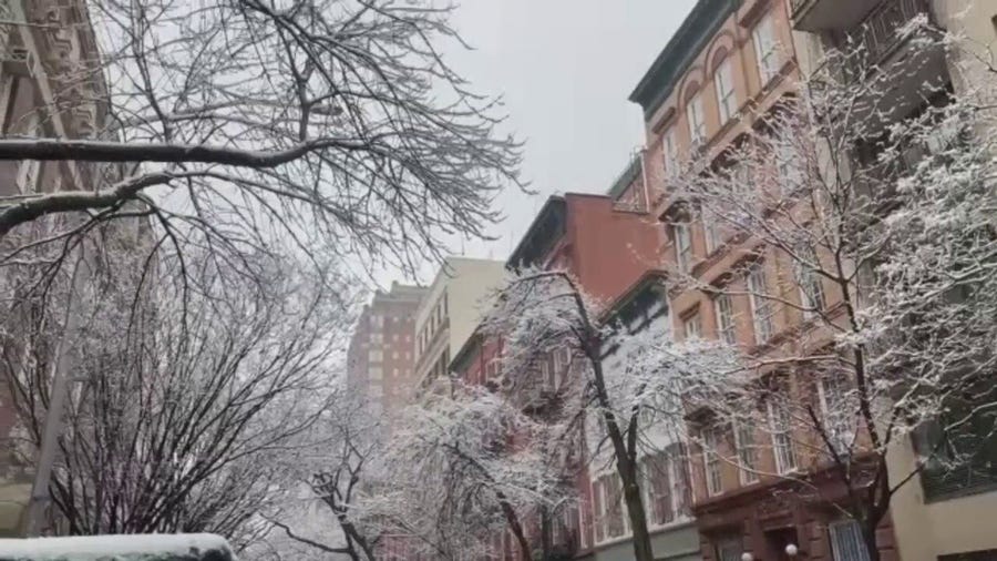 Watch: New Yorkers wake to snow Sunday amid cold front