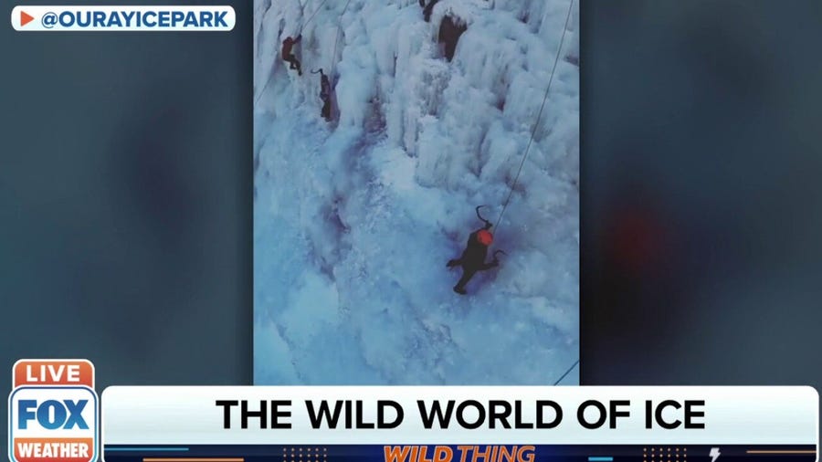 Climber shows the wild world of ice farming with FOX Weather