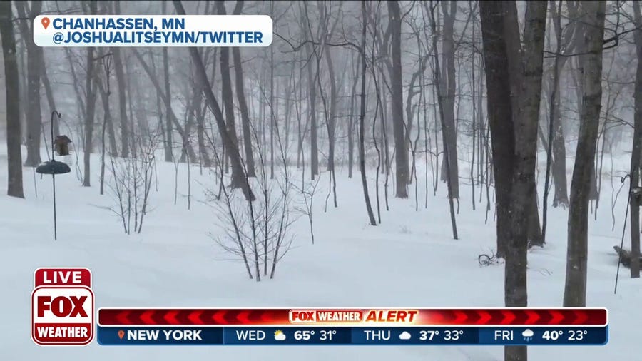 Snow covers woods of Chanhassen, Minnesota