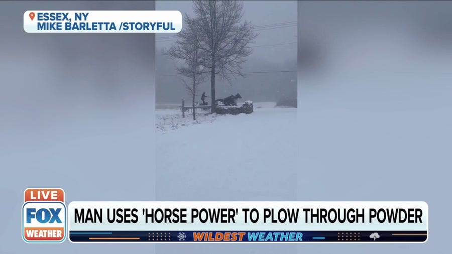 Man uses horse and buggy to get around during winter storm