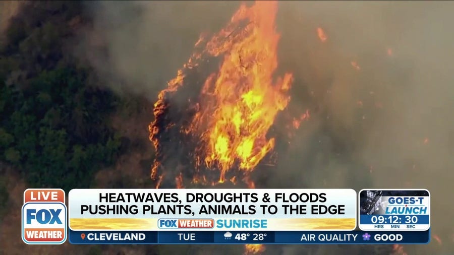 UN Report Climate change causing widespread adverse impacts to nature