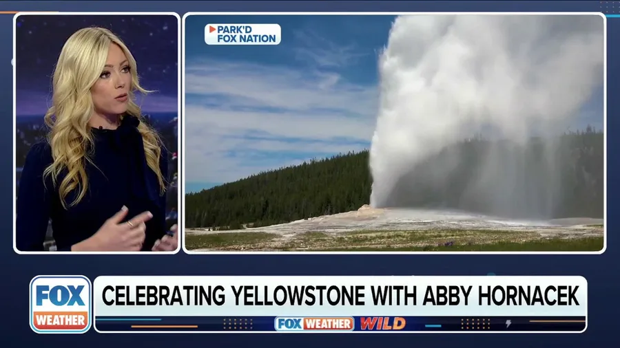 FOX Nation's Abby Hornacek on what Yellowstone National Park has to offer