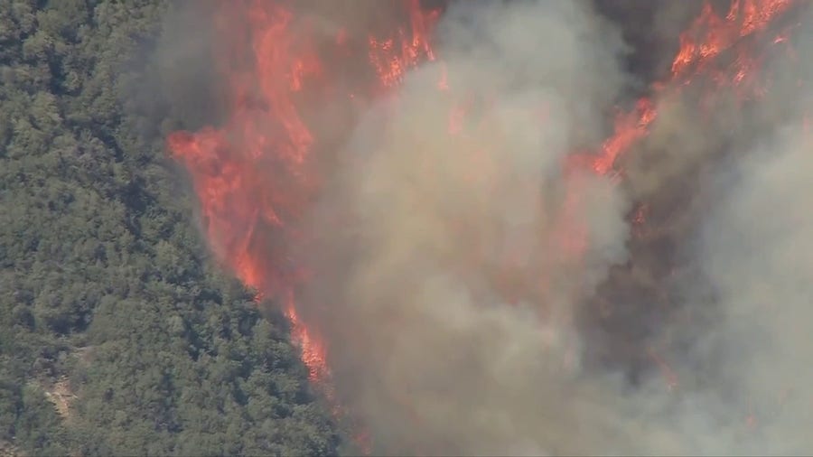 Wildfire burns in Southern California national forest