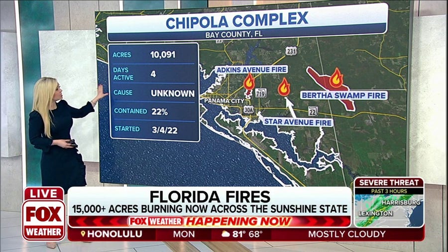 Over 160+ Wildfires are Burning in Florida