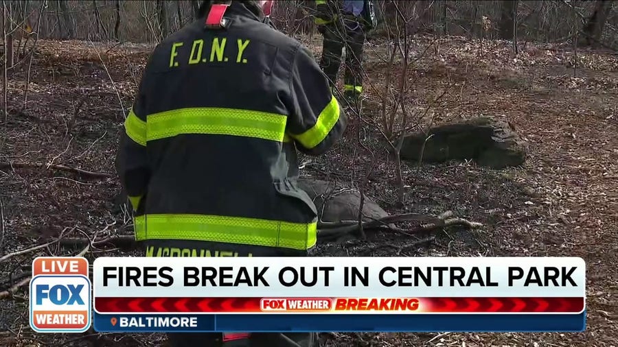 Reports of brush fires breaking out in Central Park in NYC
