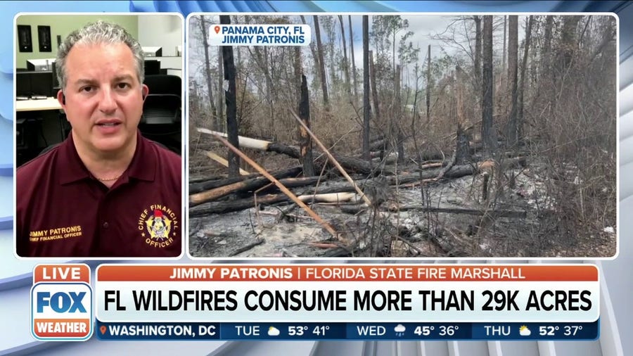 'We need mother nature to give us a break': FL wildfires consuming more than 29K acres