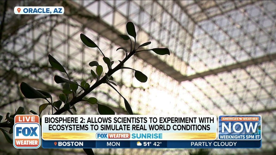 Biosphere 2 being used to find solutions to combat climate change