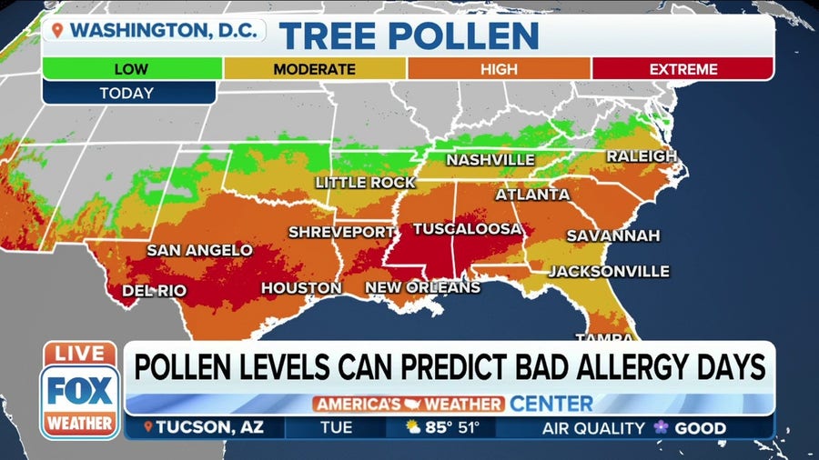 How severe will spring allergy season be in 2022?