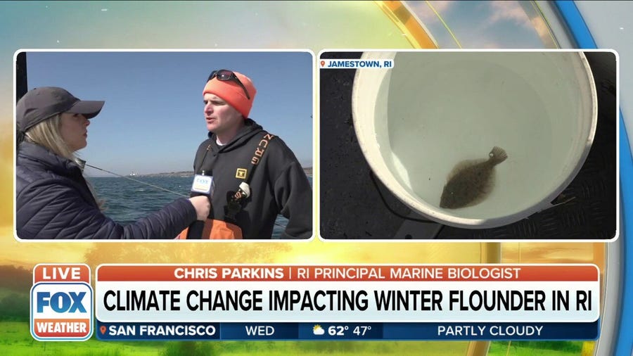 Climate change may be impacting winter flounder population in Rhode Island