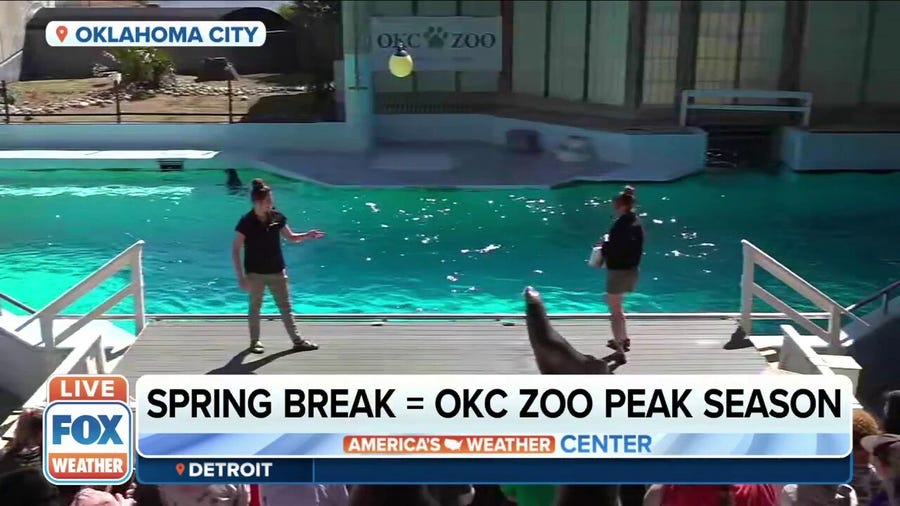 Spring break is peak season for the Oklahoma City Zoo
