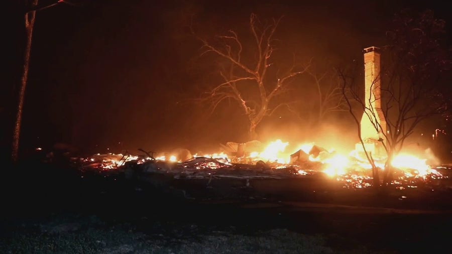 watch the forest in texas