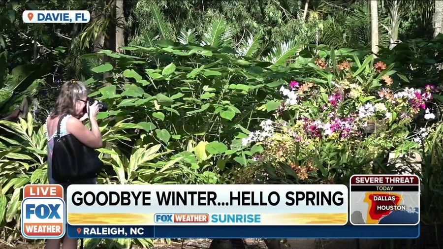 Flamingo Gardens annual tropical plant event signifies start of spring
