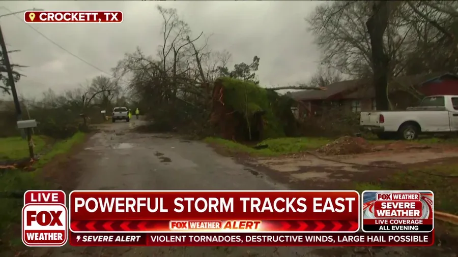 Trees uprooted, homes torn apart from tornado-warned storm in Crockett, TX