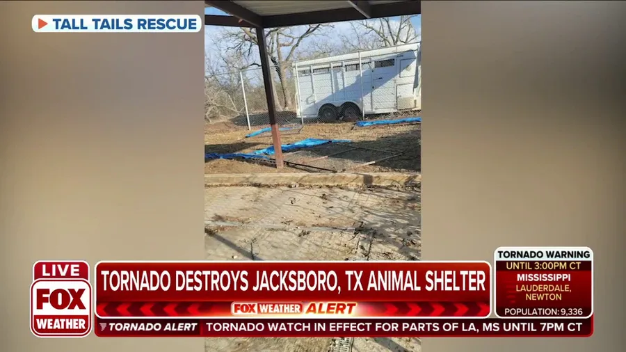 Organization takes dogs in after tornado destroys Jacksboro, TX animal shelter