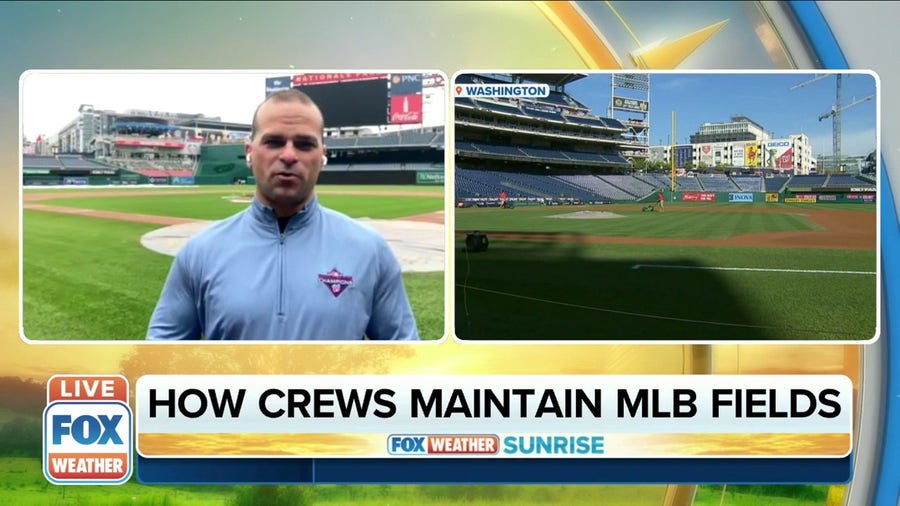 How crews maintain MLB fields