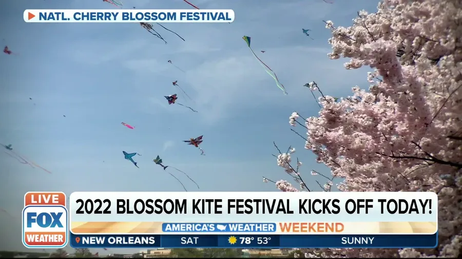 2022 Blossom Kite Festival kicks off Saturday in Washington, D.C.