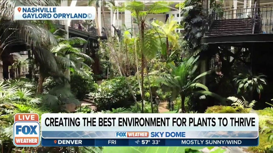 Nashville's Gaylord Opryland Resort creates environment for plants to thrive year-round