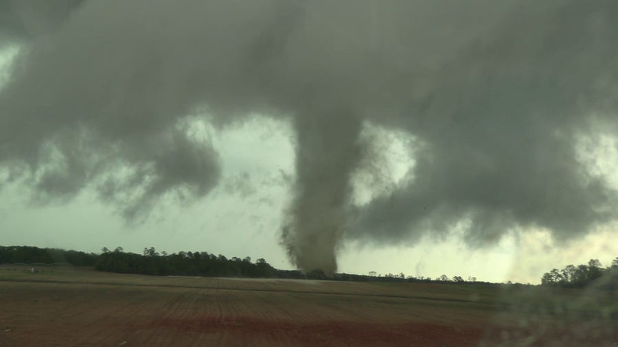 Tornado tears into trees and lofts debris