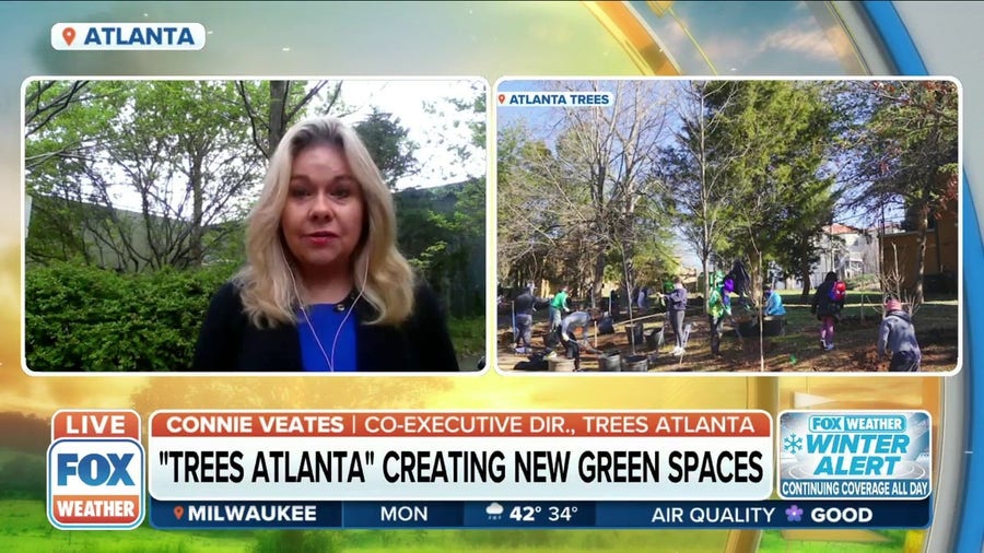 'Trees Atlanta' creating green spaces to help address Atlanta's tree loss